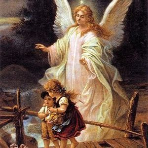 Meet your Posher, Faye